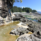 Illustration for article titled Pics from the (Ocean Floor): 2018-05-05 at Botanical Beach